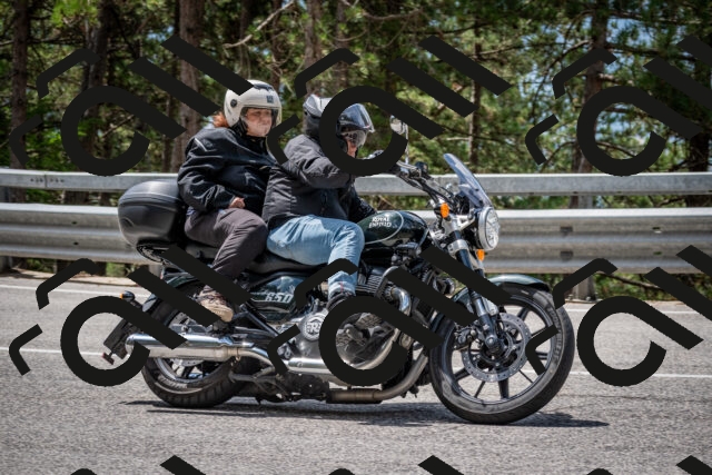 202508031208-DSC_3655_c2