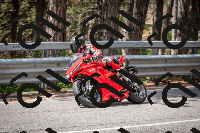 202508031209-DSC_3660_c2