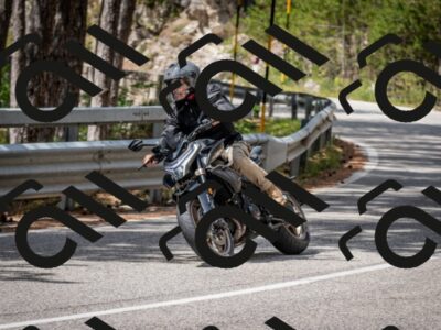 202508031209-DSC_3664_c2