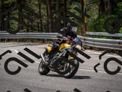 202508031210-DSC_3667_c2