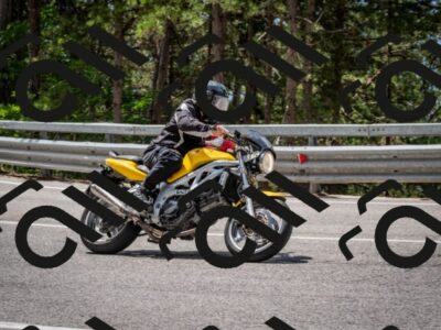 202508031210-DSC_3668_c2