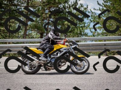 202508031210-DSC_3669_c2