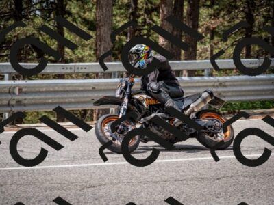 202508031212-DSC_3684_c2