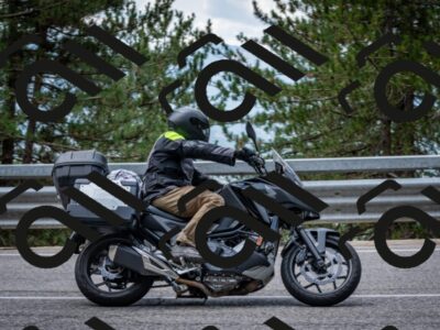 202508031215-DSC_3729_c2