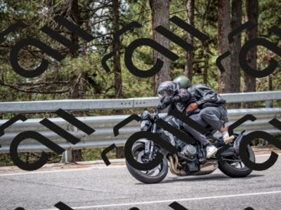 202508031216-DSC_3736_c2