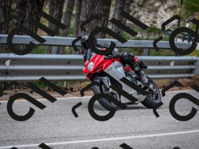 202508031217-DSC_3746_c2