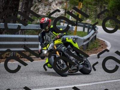 202508031217-DSC_3747_c2