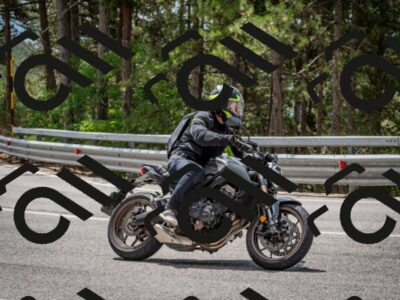 202508031223-DSC_3804_c2