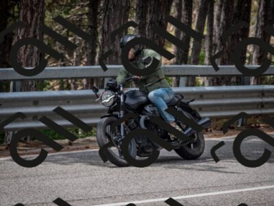 202508031227-DSC_3826_c2