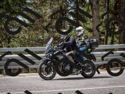 202508031228-DSC_3839_c2