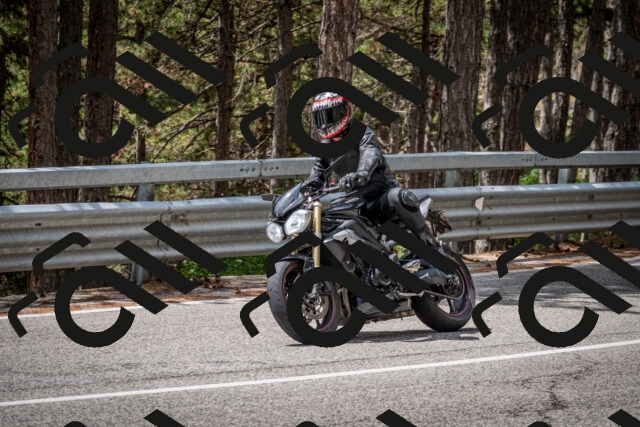 202508031230-DSC_3848_c2