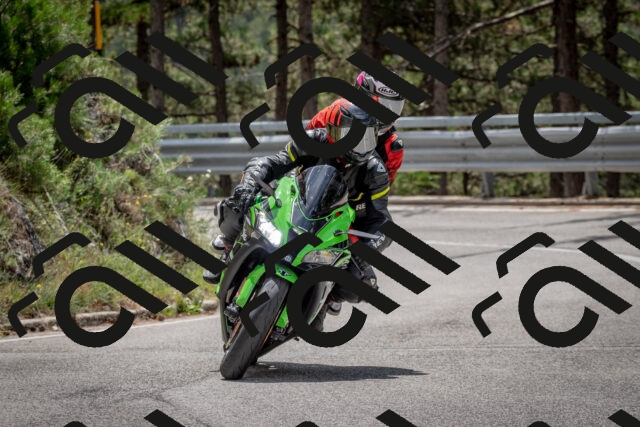 202508031230-DSC_3851_c2