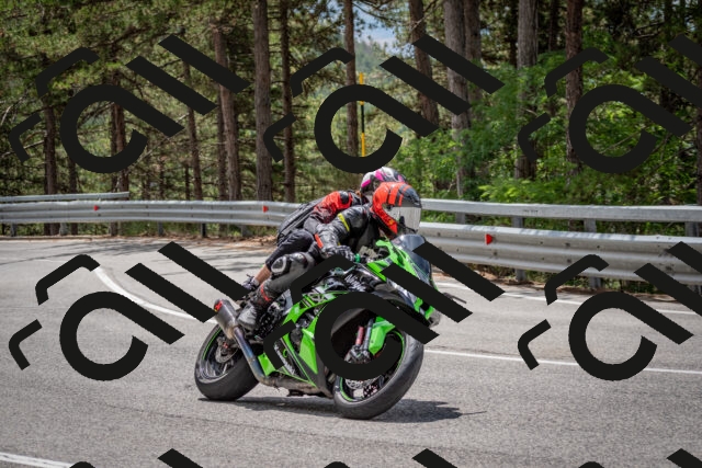 202508031230-DSC_3853_c2