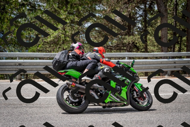 202508031230-DSC_3856_c2