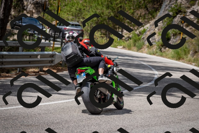 202508031230-DSC_3858_c2