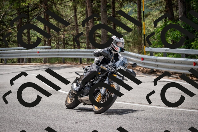 202508031231-DSC_3859_c2