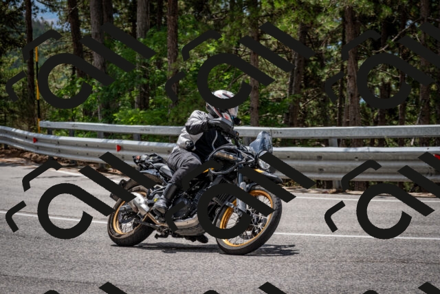 202508031231-DSC_3860_c2