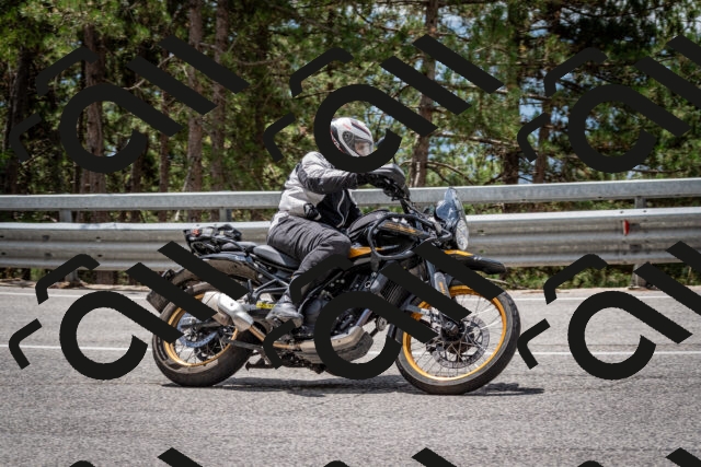 202508031231-DSC_3861_c2