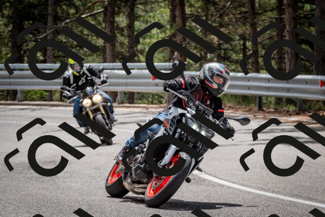 202508031231-DSC_3862_c2