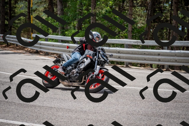 202508031231-DSC_3863_c2