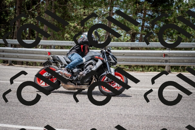 202508031231-DSC_3864_c2