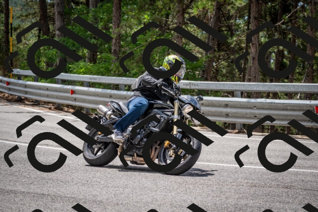 202508031231-DSC_3865_c2