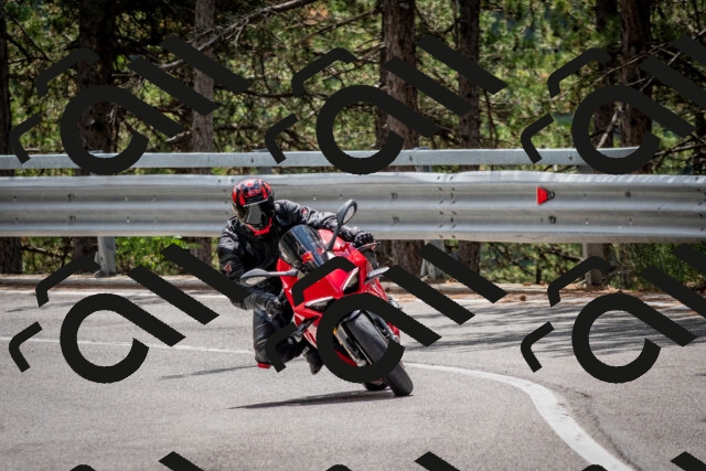 202508031234-DSC_3873_c2