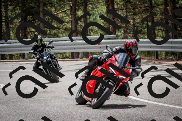 202508031234-DSC_3874_c2