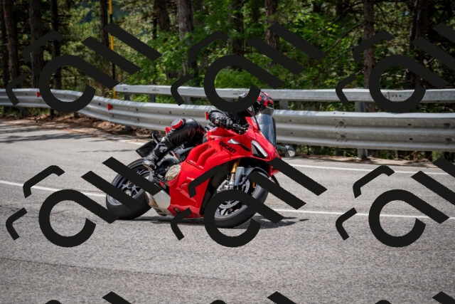 202508031234-DSC_3875_c2