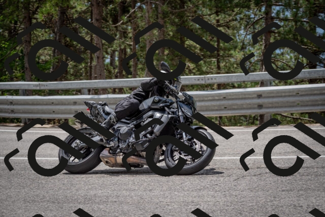 202508031234-DSC_3877_c2