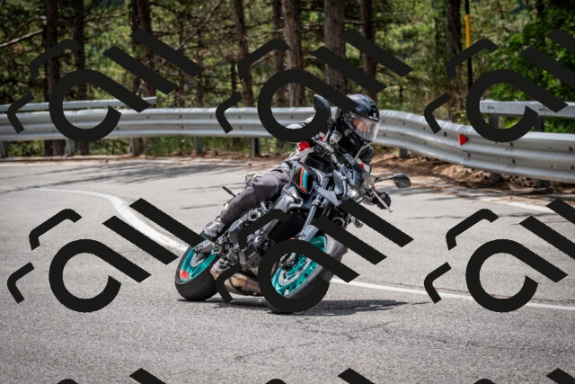 202508031235-DSC_3879_c2