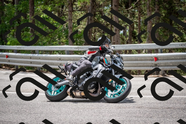 202508031235-DSC_3880_c2