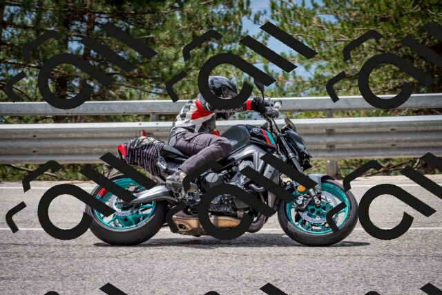 202508031235-DSC_3881_c2