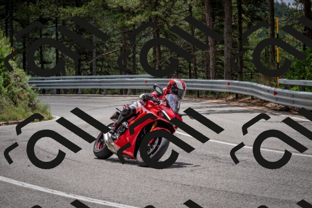 202508031236-DSC_3882_c2