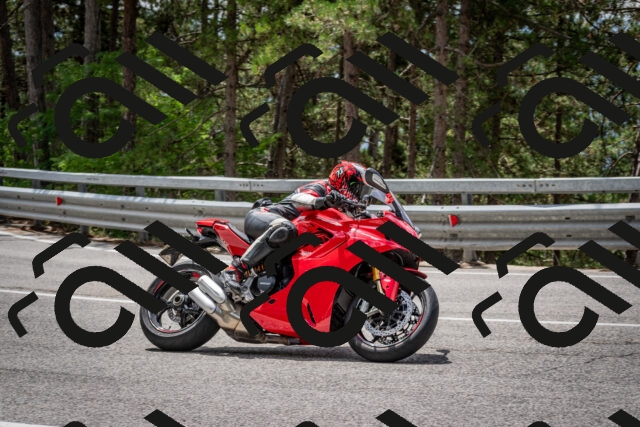 202508031236-DSC_3883_c2