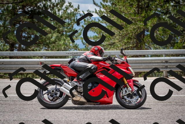 202508031236-DSC_3884_c2