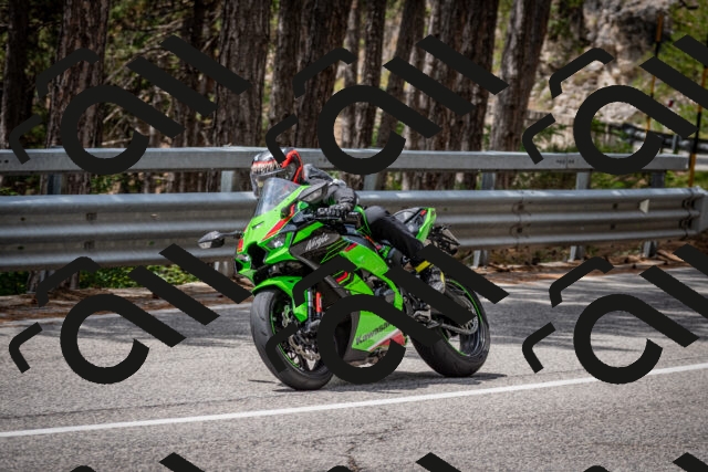 202508031237-DSC_3887_c2