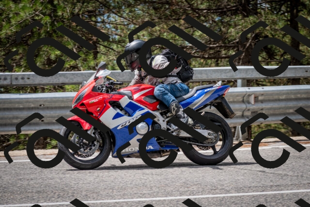 202508031237-DSC_3889_c2