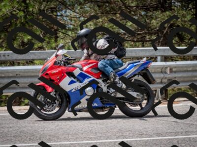 202508031237-DSC_3889_c2