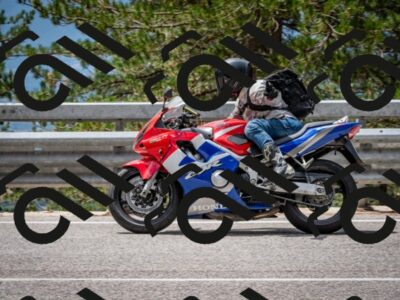 202508031237-DSC_3890_c2