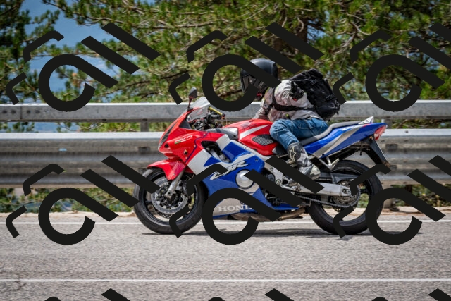 202508031237-DSC_3890_c2