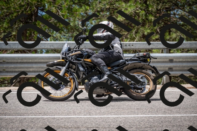 202508031237-DSC_3891_c2