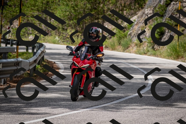 202508031238-DSC_3893_c2