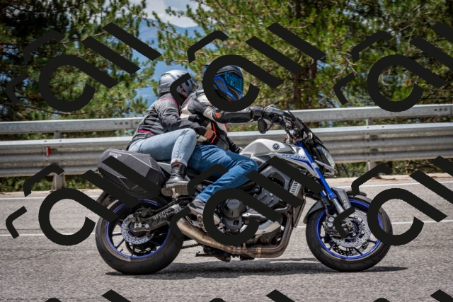 202508031238-DSC_3897_c2