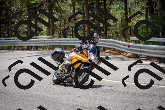 202508031243-DSC_3898_c2