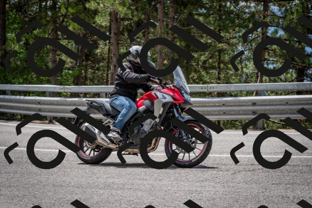 202508031243-DSC_3902_c2