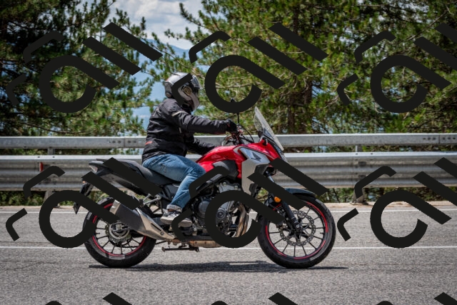 202508031243-DSC_3903_c2