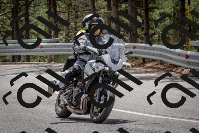 202508031244-DSC_3904_c2