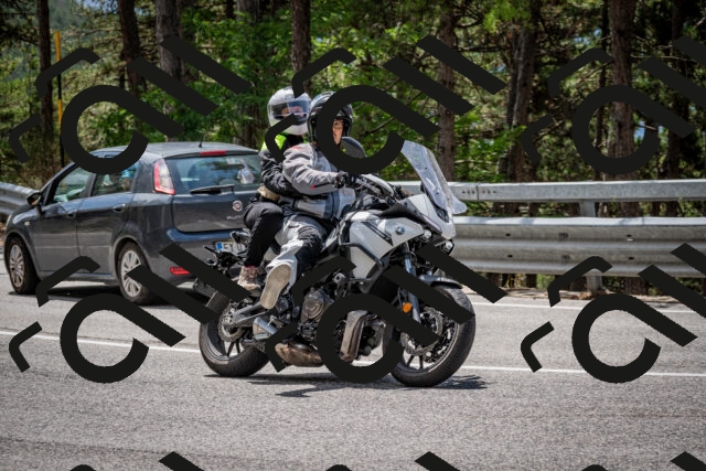 202508031244-DSC_3905_c2