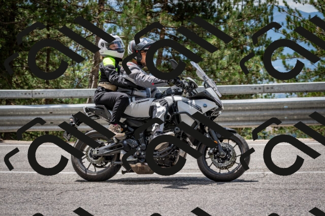 202508031244-DSC_3906_c2